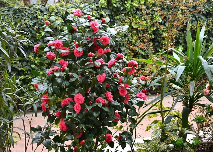 B&B Leonardo